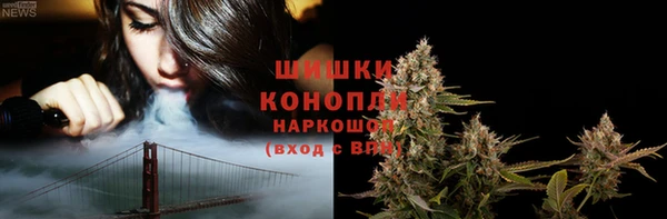 винт Осинники