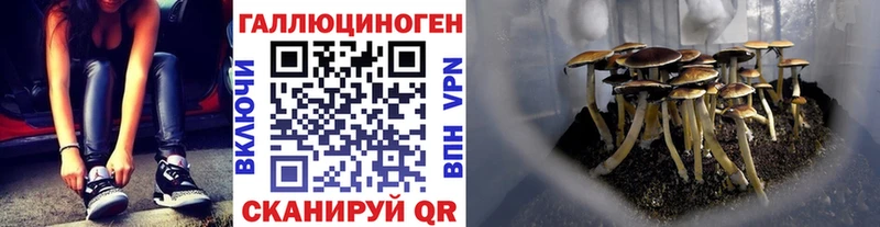 мега зеркало  Инза  Галлюциногенные грибы GOLDEN TEACHER 